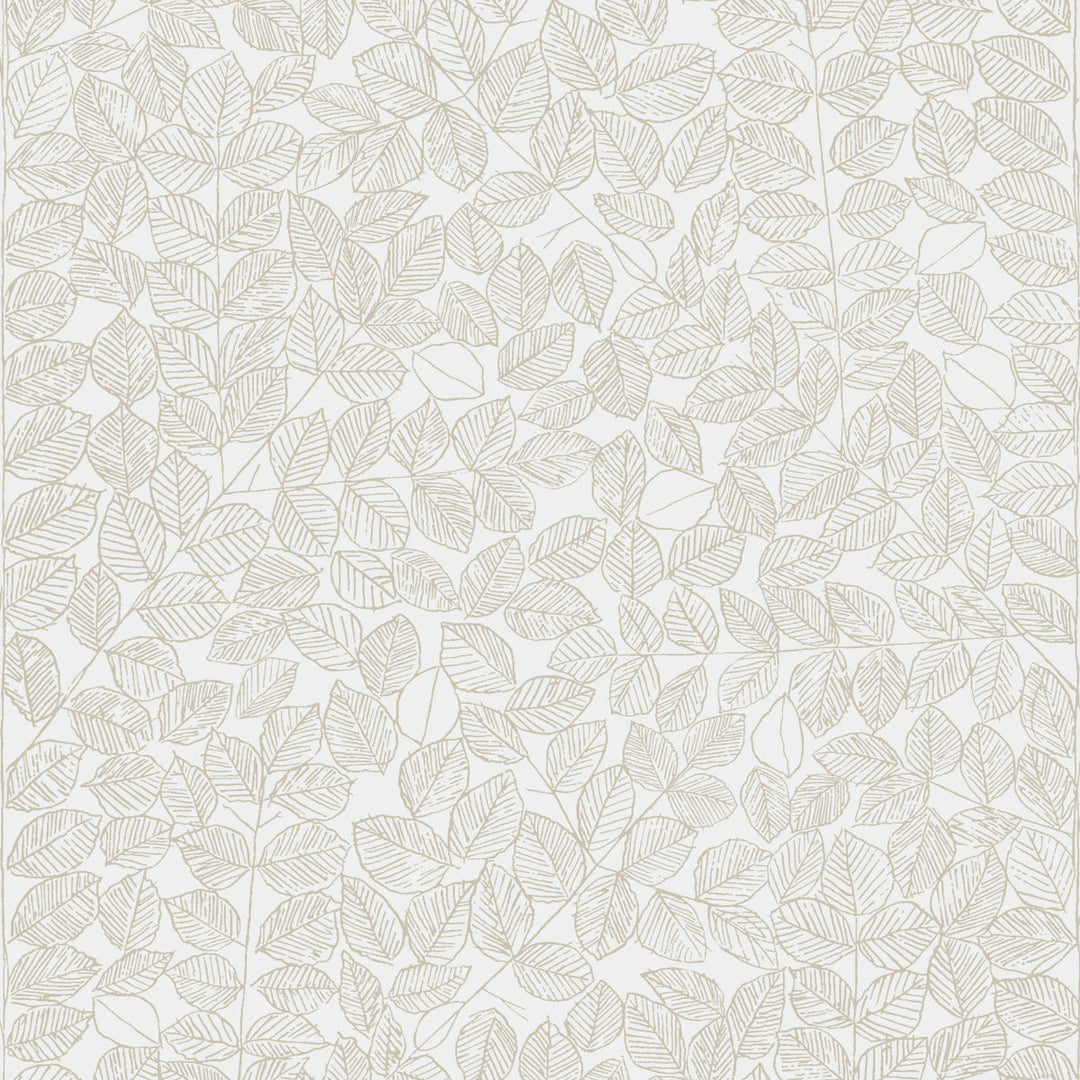 Romans - Sand by Schumacher Wallcovering
