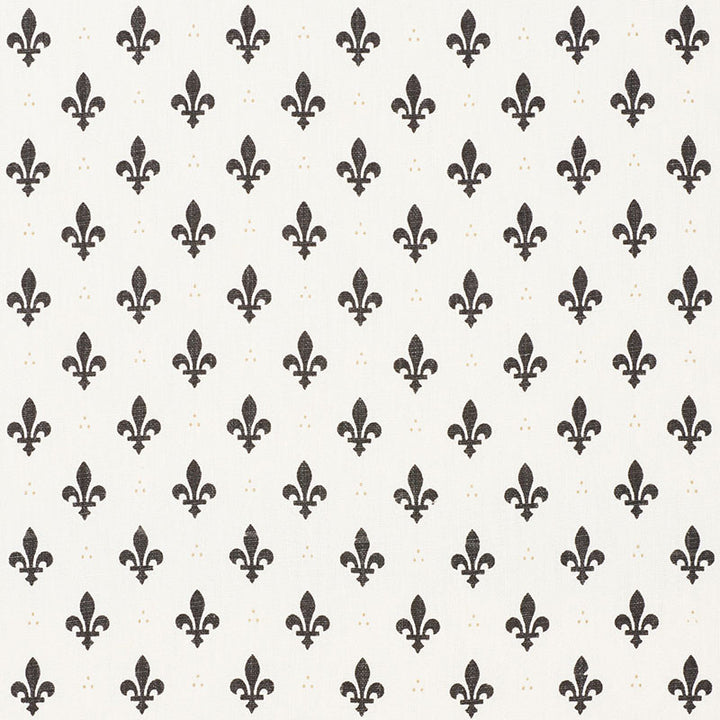 Fleur De Lis Charcoal 176962 by Schumacher Fabric FRENCH REVOLUTION LINEN 100% BELGIUM WYZENBEEK 15,000 </p><p>Repeat: Horizontal: 2" (5CM) and Vertical: 2 1/2" (6CM) 54 - Fabric Carolina -