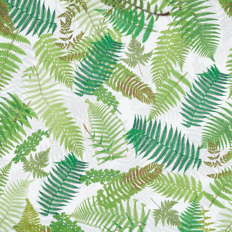 Fernarium Green & Ivory 177590 by Schumacher Fabric Schumacher Fabric Fernarium Green & Ivory 177590Fabric COTTON 100% UNITED KINGDOM </p><p>Repeat: H: 54" (137CM) , V: VERT. 94" (239CM) 56 - Fabric Carolina -