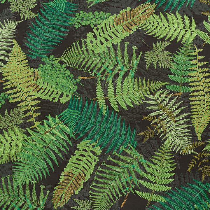 Fernarium Green & Black 177591 by Schumacher Designer Fabric CLEMENTS RIBEIRO COTTON 100% UNITED KINGDOM MARTINDALE 18,000 </p><p>Repeat: Horizontal: 54" (137CM) and Vertical: 94" (239CM) 56 - Swanky Fabrics -
