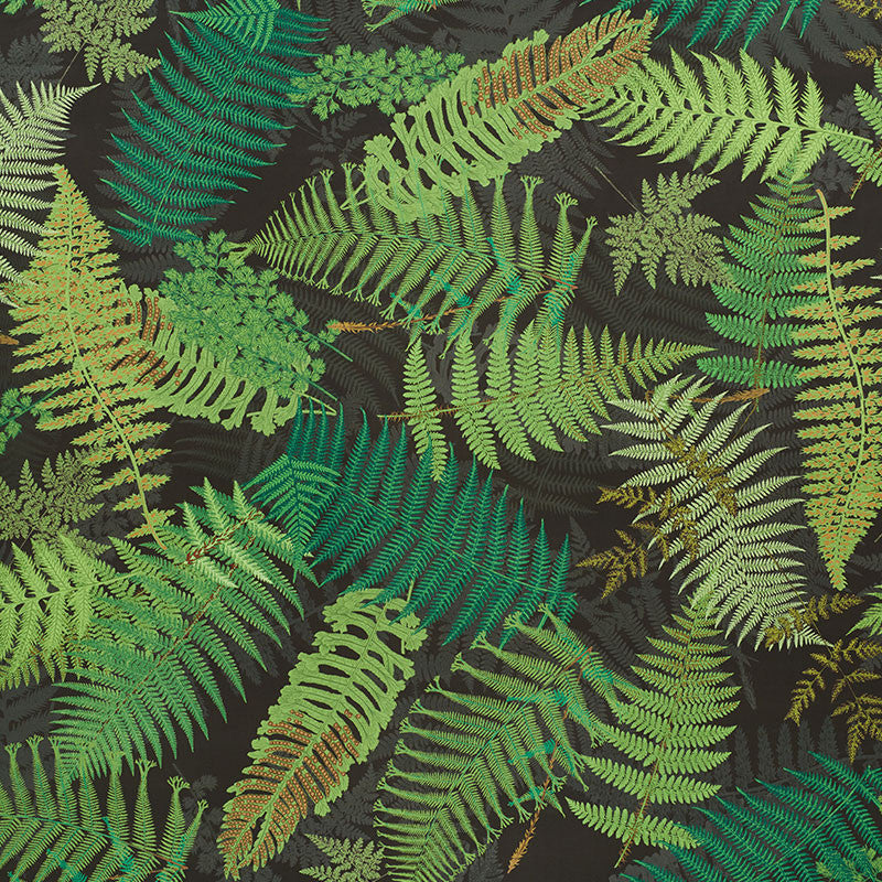 Fernarium Green & Black 177591 by Schumacher Designer Fabric CLEMENTS RIBEIRO See Sample UNITED KINGDOM - </p><p>Repeat: Horizontal: 54" (137CM) and Vertical: 94" (239CM) 56" (142CM) - Swanky Fabrics -