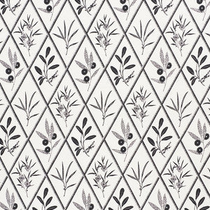 Endimione Carbon 177643 by Schumacher Fabric