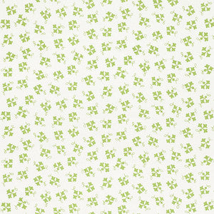 Nose Gay Moss 177842 by Schumacher Fabric