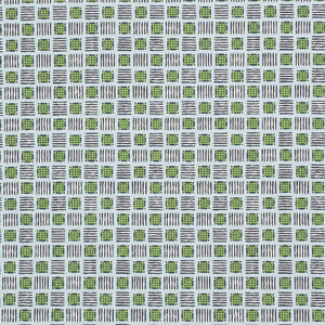 Mottley Grid Sky & Putting Green 177862 by Schumacher Fabric