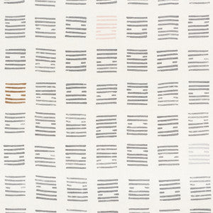 Tiasquam Charcoal 177882 by Schumacher Fabric