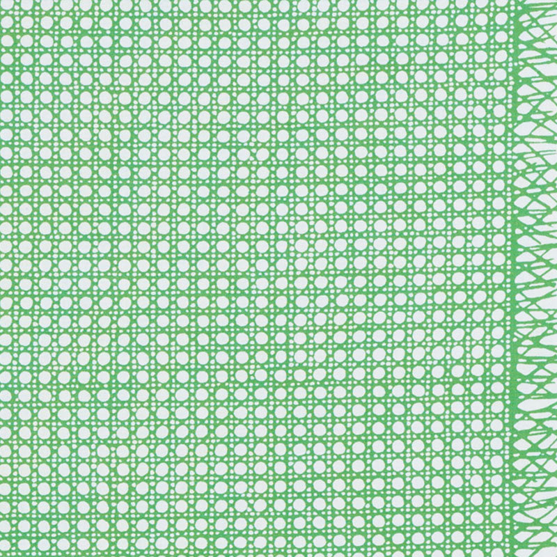 Sugar Cane Green 178191 by Schumacher Fabric Schumacher Fabric Sugar Cane Green 178191Fabric COTTON 100% UNITED KINGDOM </p><p>Repeat: H: HORZ. 49 1/2" (126CM) , V: VERT. 1/2" (1CM) 49.5 - Fabric Carolina -
