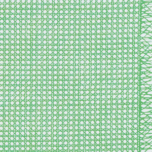 Sugar Cane Green 178191 by Schumacher Fabric