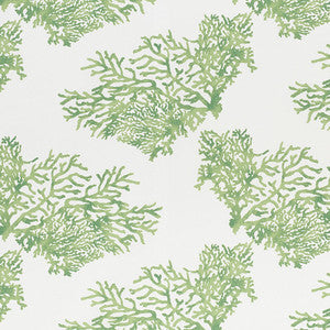 Great Barrier Reef Ii Green 178291 by Schumacher Fabric
