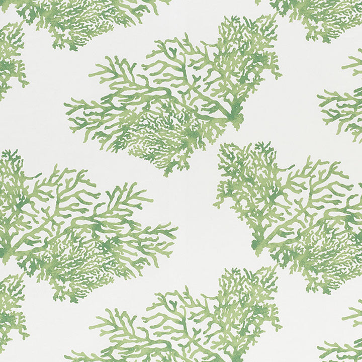 Great Barrier Reef Ii Green 178291 by Schumacher Designer Fabric INDOOR/OUTDOOR PRINTS & WOVENS IV POLYESTER 100% ITALY MARTINDALE 50,000 </p><p>Repeat: Horizontal: 26 1/2" (67CM) and Vertical: 26 1/4" (67CM) 53.75 - Swanky Fabrics -