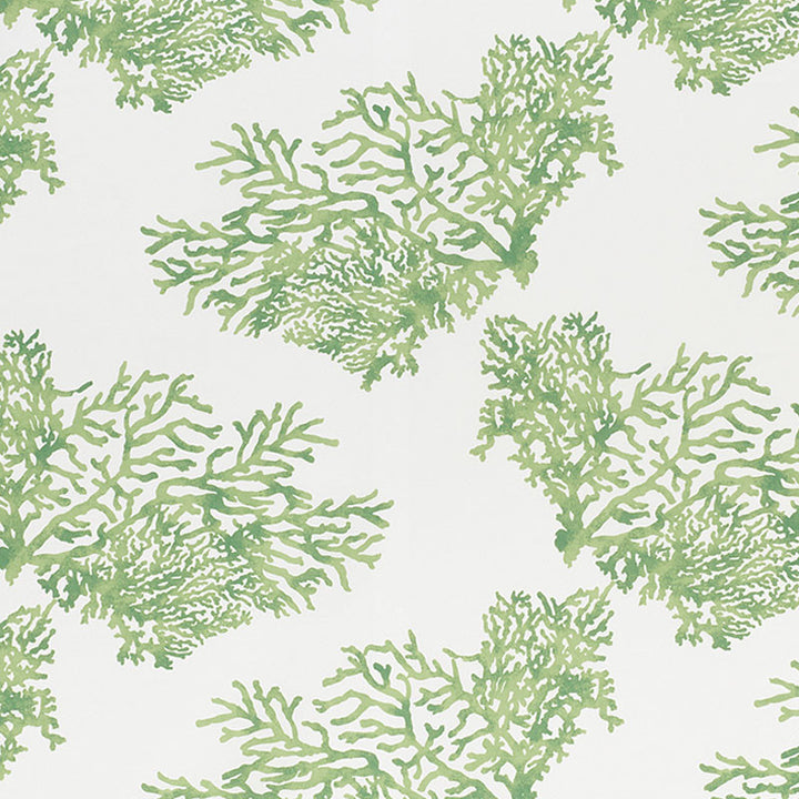 Great Barrier Reef Ii Green 178291 by Schumacher Fabric INDOOR/OUTDOOR PRINTS & WOVENS IV See Sample ITALY - </p><p>Repeat: Horizontal: 26 1/2" (67CM) and Vertical: 26 1/4" (67CM) 53 3/4" (137CM) - Fabric Carolina -