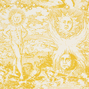 Modern Toile Yellow 178622 by Schumacher Fabric