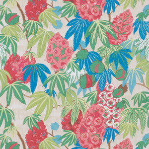 Del Lungo Coral 178640 by Schumacher Fabric