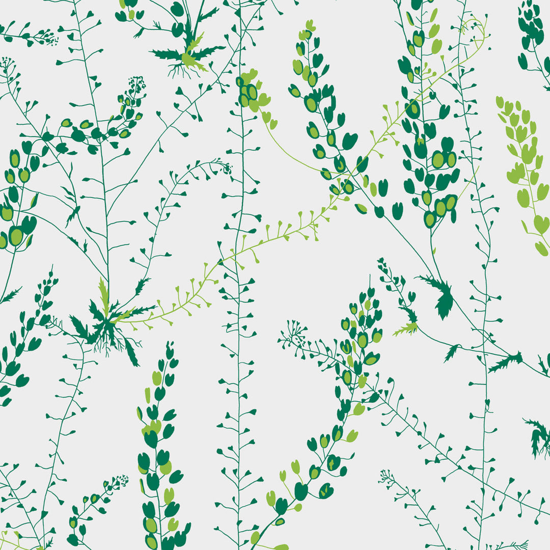 Bladranker - Leaf by Schumacher Wallcovering