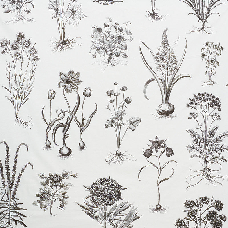 Cabot Botanical Large Ivory 178740 by Schumacher Fabric SCHUMACHER CLASSICS COTTON 100% UNITED KINGDOM </p><p>Repeat: Horizontal: 111" (282CM) and Vertical: 54 3/4" (142CM) 55.5 - Fabric Carolina -