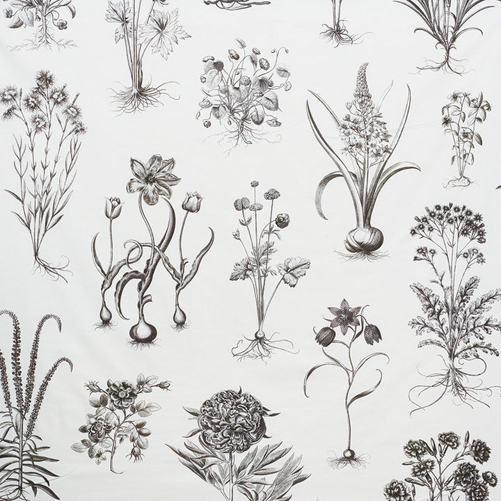 Cabot Botanical Large Ivory 178740 by Schumacher Fabric SCHUMACHER CLASSICS COTTON 100% UNITED KINGDOM </p><p>Repeat: Horizontal: 111" (282CM) and Vertical: 54 3/4" (142CM) 55.5 - Fabric Carolina -