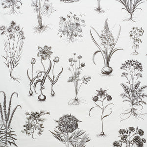 Cabot Botanical Large Ivory 178740 by Schumacher Fabric