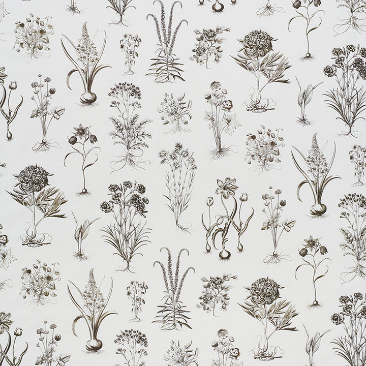 Cabot Botanical Ivory 178751 by Schumacher Fabric SCHUMACHER CLASSICS COTTON 100% UNITED KINGDOM </p><p>Repeat: Horizontal: 53 3/4" (137CM) and Vertical: 29 7/8" (56CM) 55.5 - Fabric Carolina -