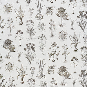 Cabot Botanical Ivory 178751 by Schumacher Fabric
