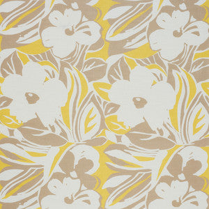 Stevie Neutral 178860 by Schumacher Fabric