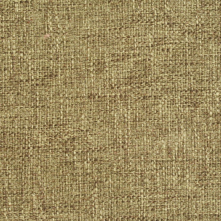 1788 Fern by Charlotte Fabric Ring book page #22A 100% Woven Polyester Asia Exceeds 100,000 Wyzenbeek Rubs (Heavy Duty) No Repeat 54 Inches - Fabric Carolina -
