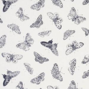 Burnell Butterfly Black 179430 by Schumacher Fabric