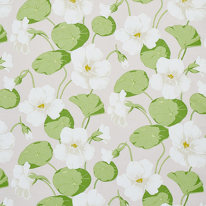 Nasturtium Stone 179492 by Schumacher Fabric SIGNATURE SCHUMACHER COMBED COTTON 100% PAKISTAN 15,000 DOUBLE RUBS </p><p>Repeat: Horizontal: 18" (46CM) and Vertical: 27" (69CM) 54 - Fabric Carolina -