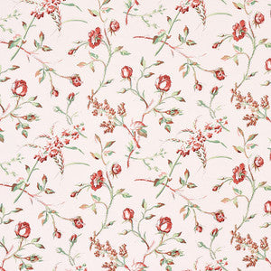 Beluze Blush 179621 by Schumacher Fabric