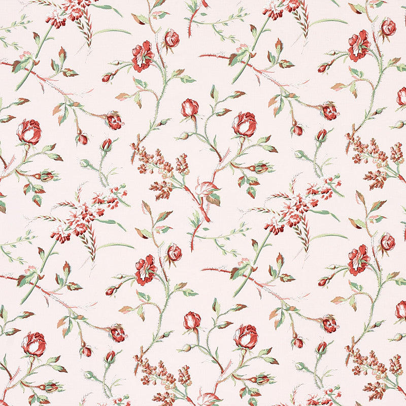Beluze Blush 179621 by Schumacher Fabric Schumacher Fabric Beluze Blush 179621Fabric COTTON 100% THAILAND </p><p>Repeat: H: HORZ. 18" (46CM) , V: VERT. 18" (46CM) 54 - Fabric Carolina -