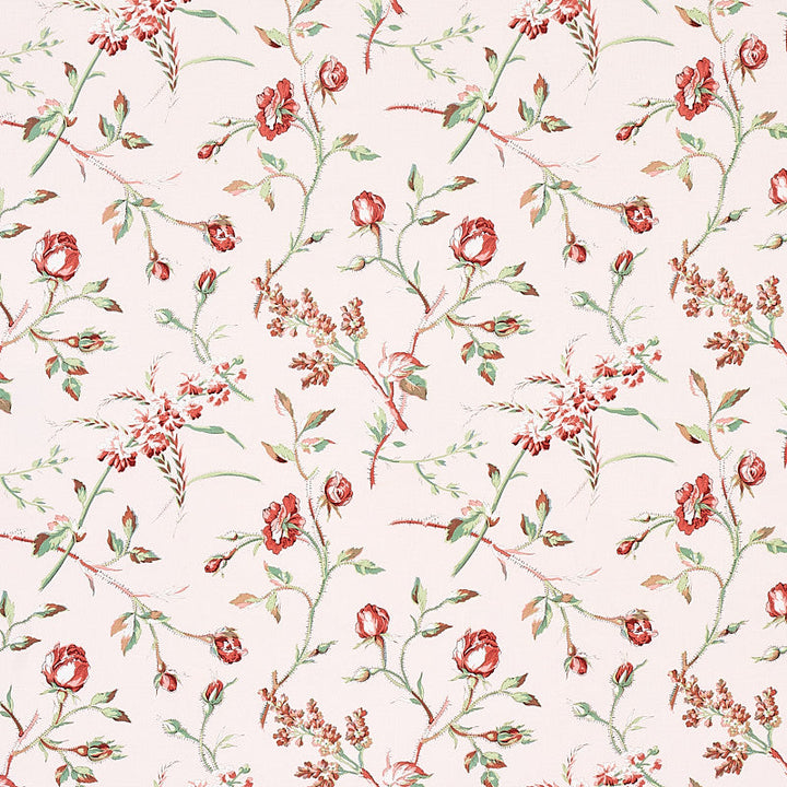 Beluze Blush 179621 by Schumacher Fabric Schumacher Fabric Beluze Blush 179621Fabric COTTON 100% THAILAND </p><p>Repeat: H: HORZ. 18" (46CM) , V: VERT. 18" (46CM) 54 - Fabric Carolina -