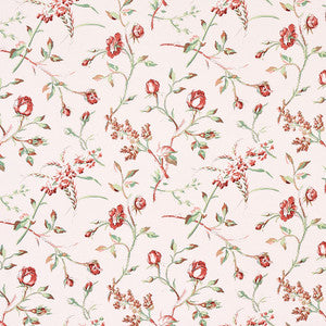 Beluze Blush 179621 by Schumacher Fabric