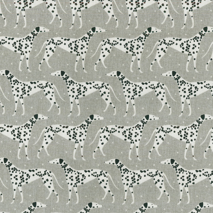 DAPPER DALMATIAN GREY 180091 by Novogratz Fabric - 100% Cotton USA 15000 Horizontal: 5.4 and Vertical: 6.75 54 - Fabric Carolina -