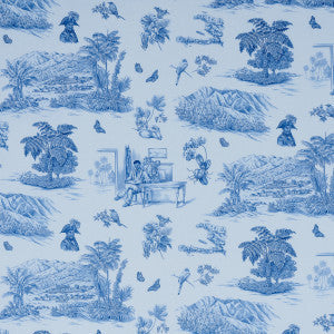 Toussaint Toile Blue & Sky 180273 by Schumacher Fabric