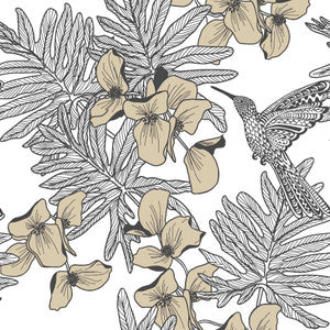 Hummingbird (Wp) # 06 Jet by 1838 Wallcoverings Wallpaper