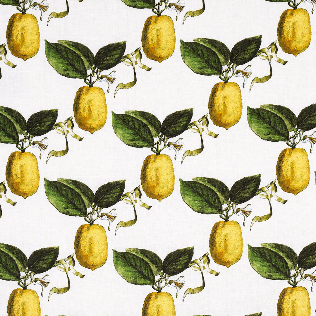 Le Citron - Ivory by Schumacher Fabric