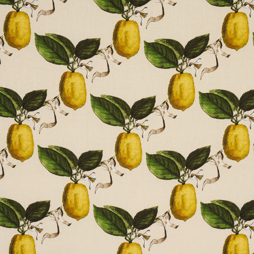 Le Citron - Natural by Schumacher Fabric