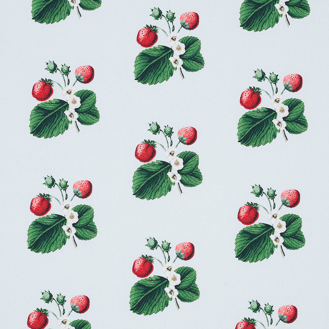 Strawberry Hill - Sky by Schumacher Fabric
