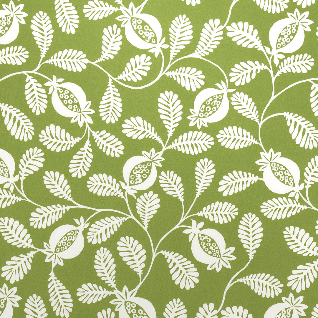 Lanzadera Vine Indoor/Outdoor - Honeydew by Schumacher Fabric