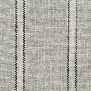 Run Around Thunder 948 by P Kaufmann Fabrics Fabric