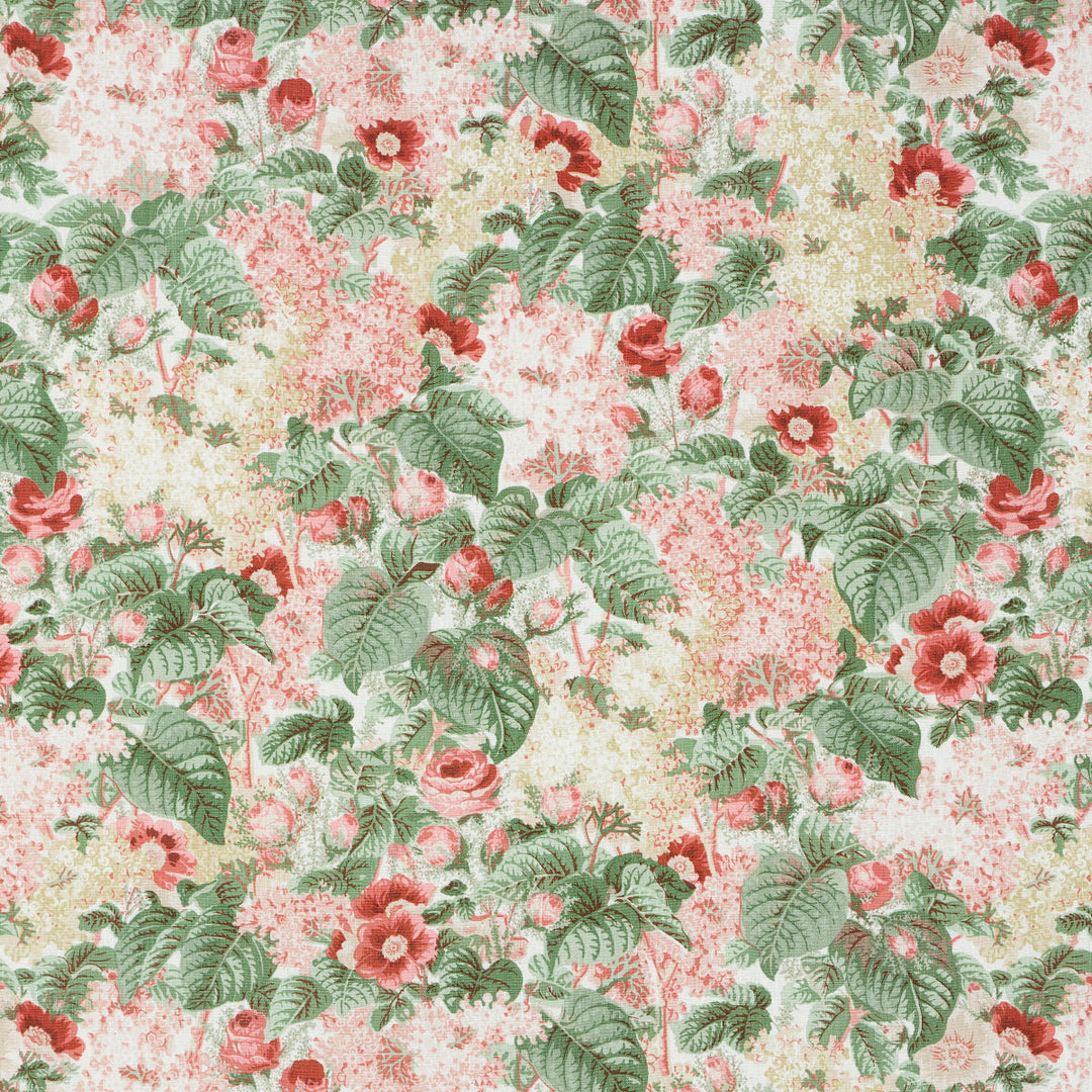 Flora'S Fleurs - Apricot by Schumacher Fabric