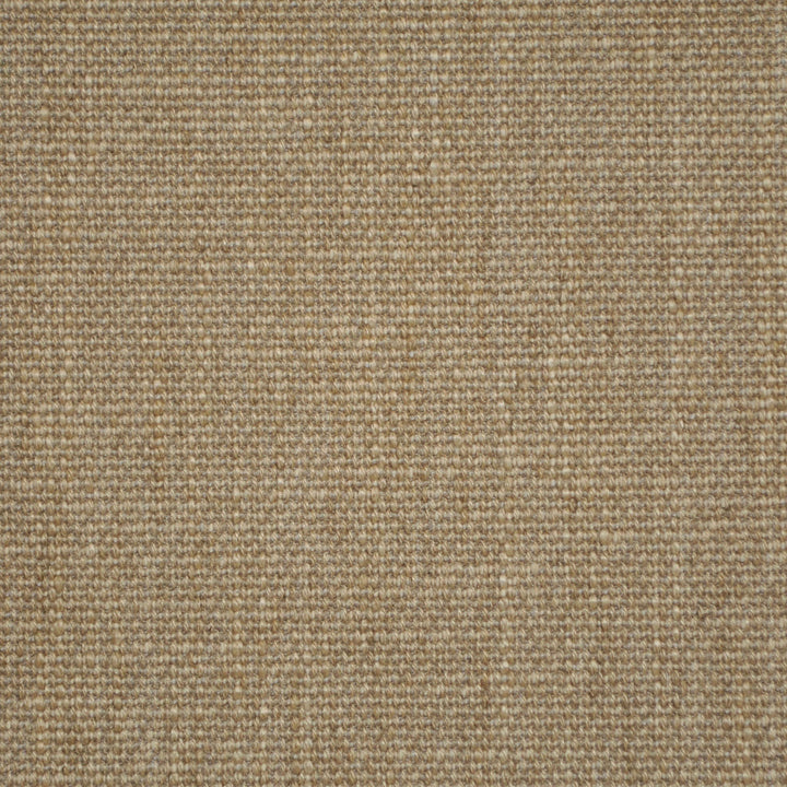 Salvatore Parchment 204 by P Kaufmann Fabrics Fabric