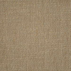 Salvatore Parchment 204 by P Kaufmann Fabrics Fabric