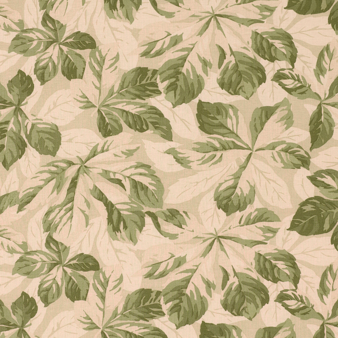 Arboreal - Sage by Schumacher Fabric