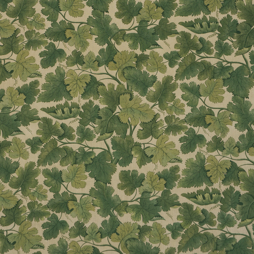 Edinburgh Vine - Moss by Schumacher Fabric