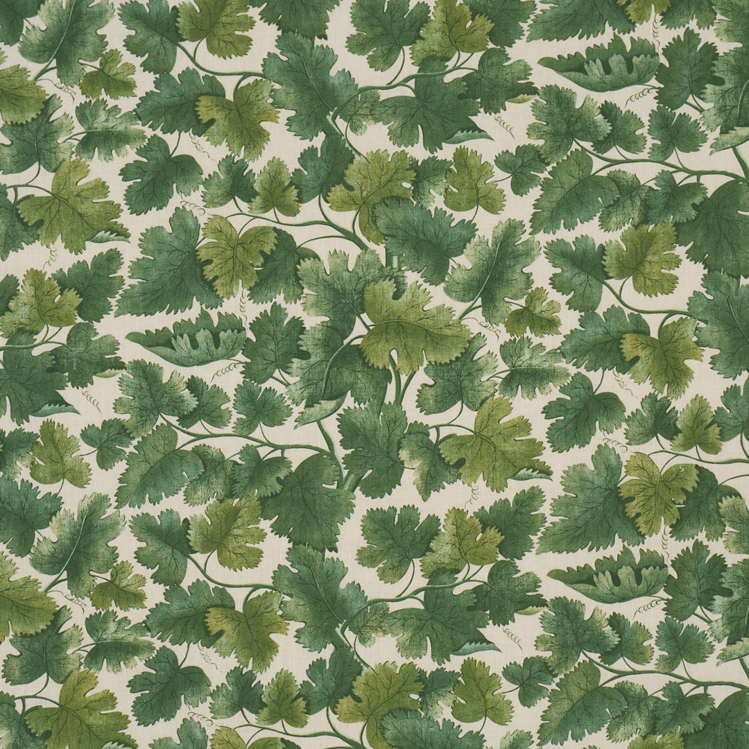 Edinburgh Vine - Forest by Schumacher Fabric