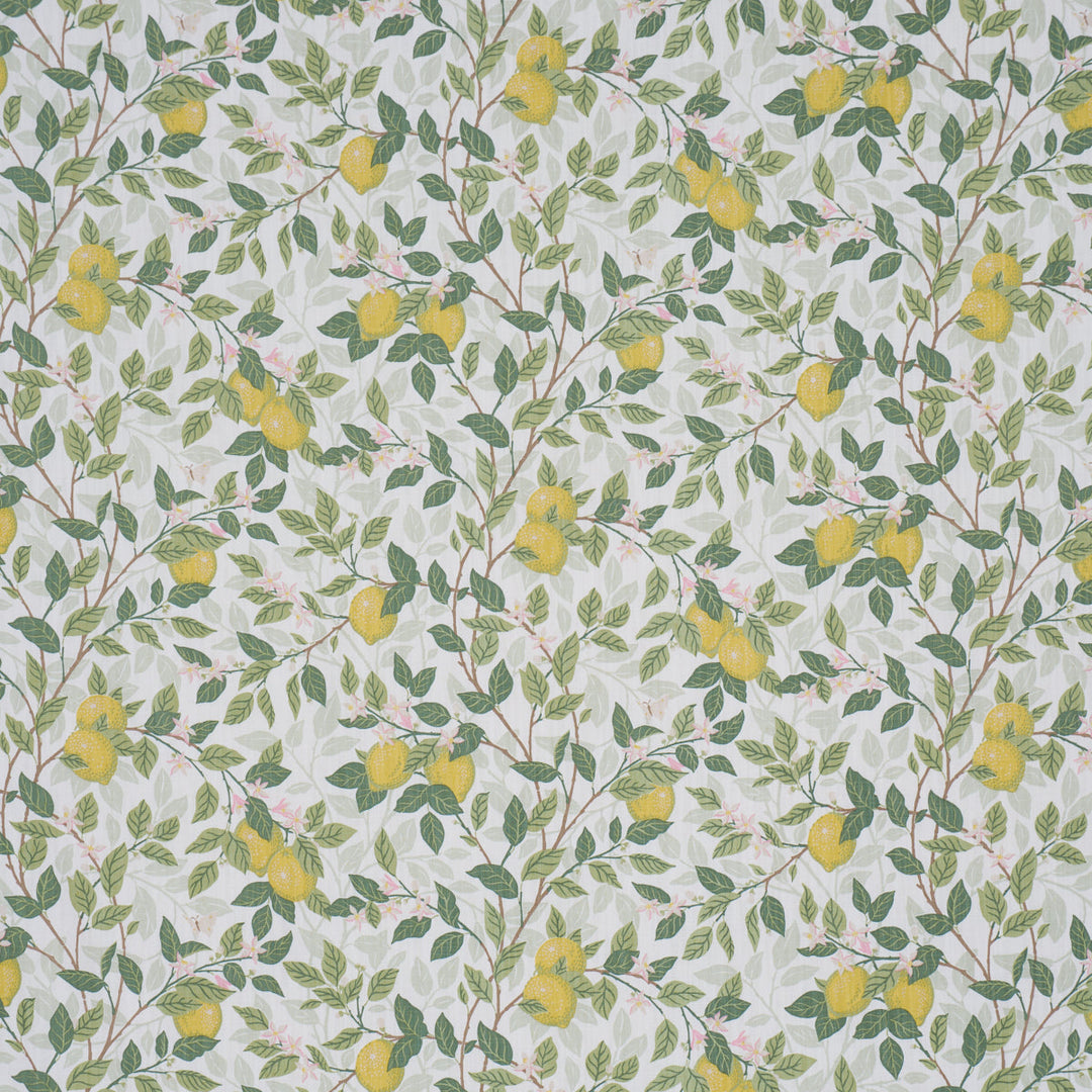 Citronträd - Ivory And Leaf by Schumacher Fabric