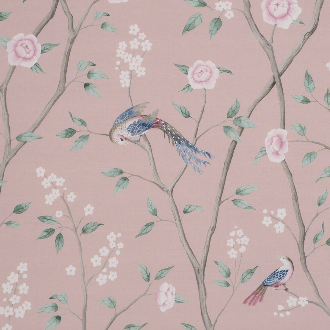 Paradise Birds - Blush by Schumacher Fabric