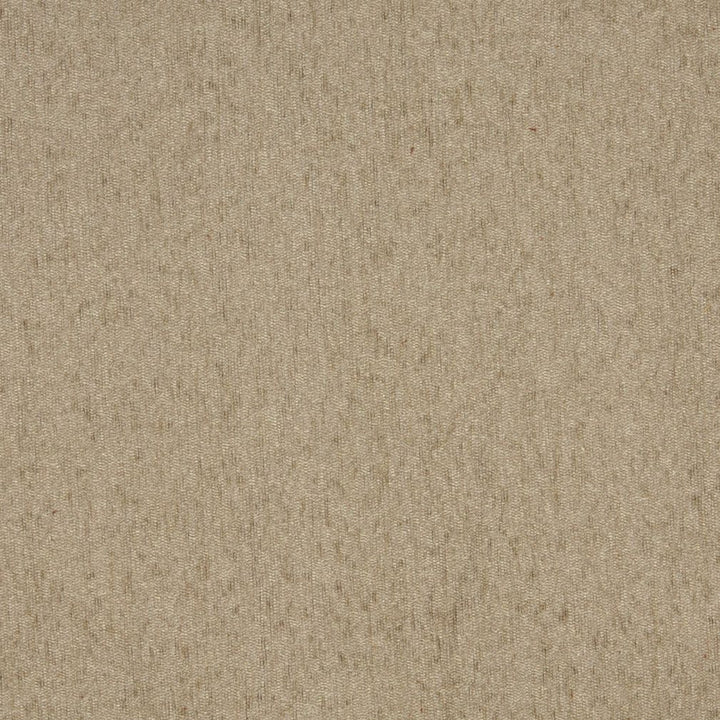 1830 Sand by Charlotte Fabric Chenilles, Chenille Classics III & Ring Book Page #92 84% Polyester, 16% Olefin Made In USA Exceeds 100,000 Wyzenbeek Rubs (Heavy Duty) No Repeat 54 Inches - Fabric Carolina -