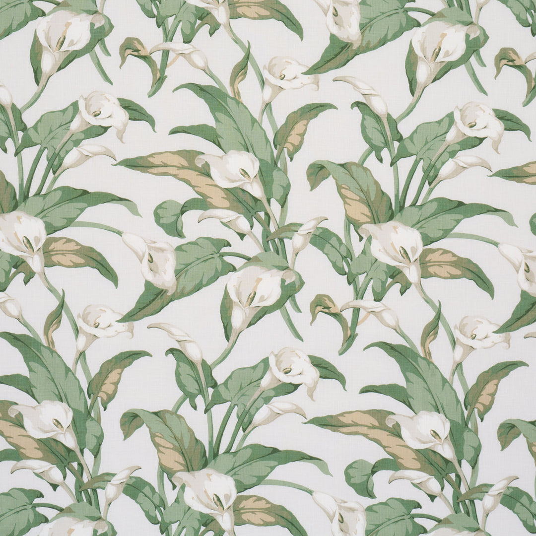 Arum Lilies - Ivory by Schumacher Fabric