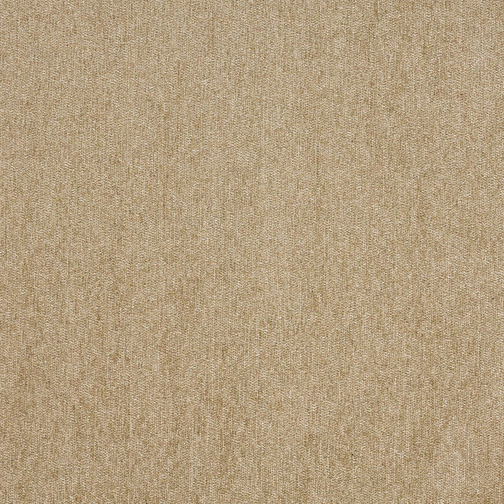 1841 Desert by Charlotte Fabric Chenilles, Chenille Classics III 84% Polyester, 16% Olefin Made In USA Exceeds 100,000 Wyzenbeek Rubs (Heavy Duty) No Repeat 54 Inches - Fabric Carolina -