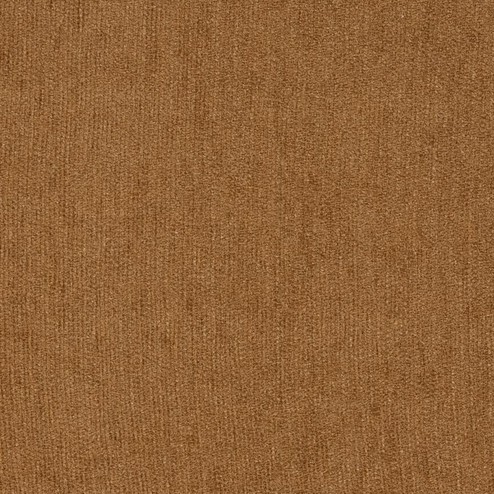 1843 Harvest by Charlotte Fabric Chenilles, Chenille Classics III 84% Polyester, 16% Olefin Made In USA Exceeds 100,000 Wyzenbeek Rubs (Heavy Duty) No Repeat 54 Inches - Fabric Carolina -